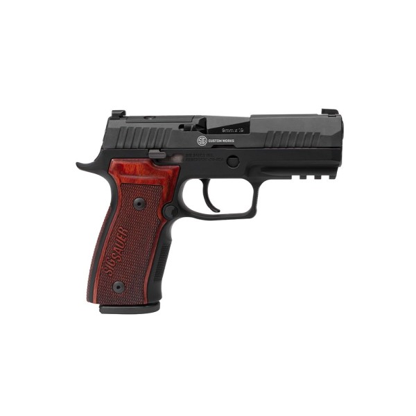 sig sauer p320 classic carry axg 9mm 3.9in black xray3 sig sauer p320 classic carry axg 9mm 3.9in black xray3