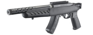 ruger 22lr charger takedown lite with brace mount