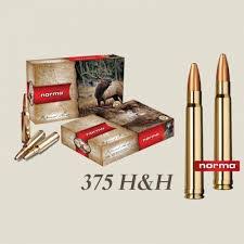 .375 h&h mag. 300 solid norma (10)