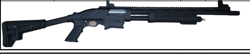 panzer bianca x black panzer bianca x black